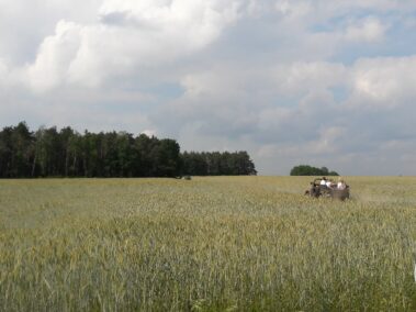 Gaz 69, turystyka 4x4