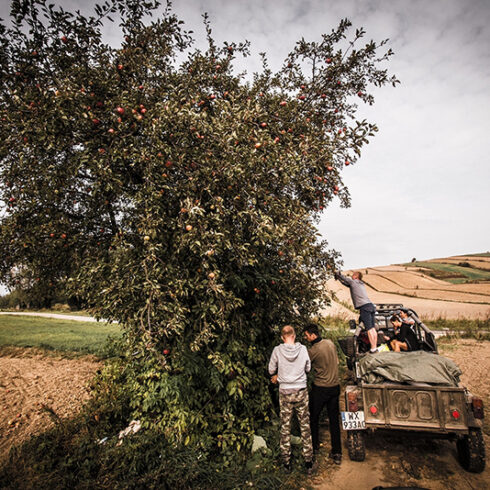 Integracja firmowa na Jurze