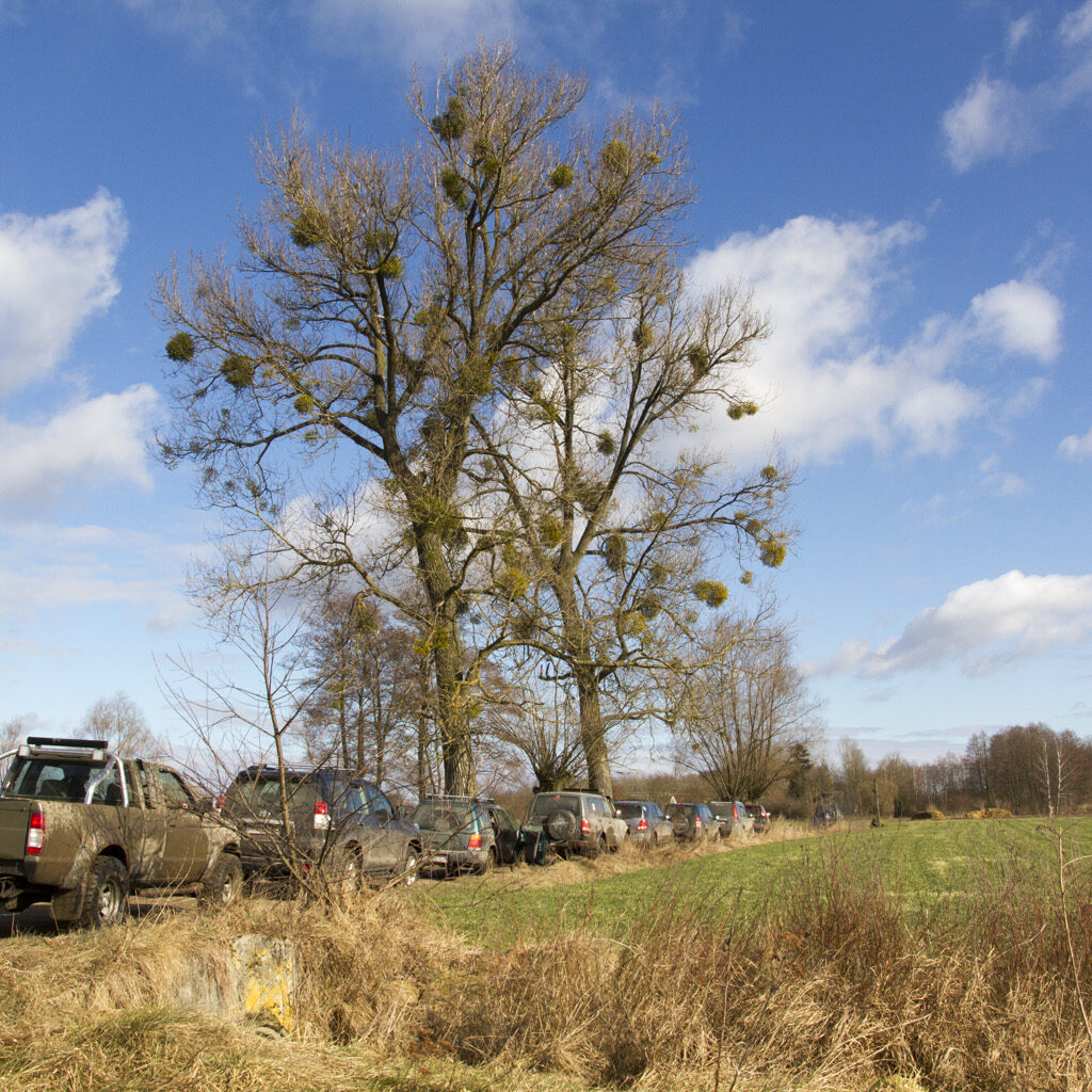 Offroad samochodami pośród łąk i pól